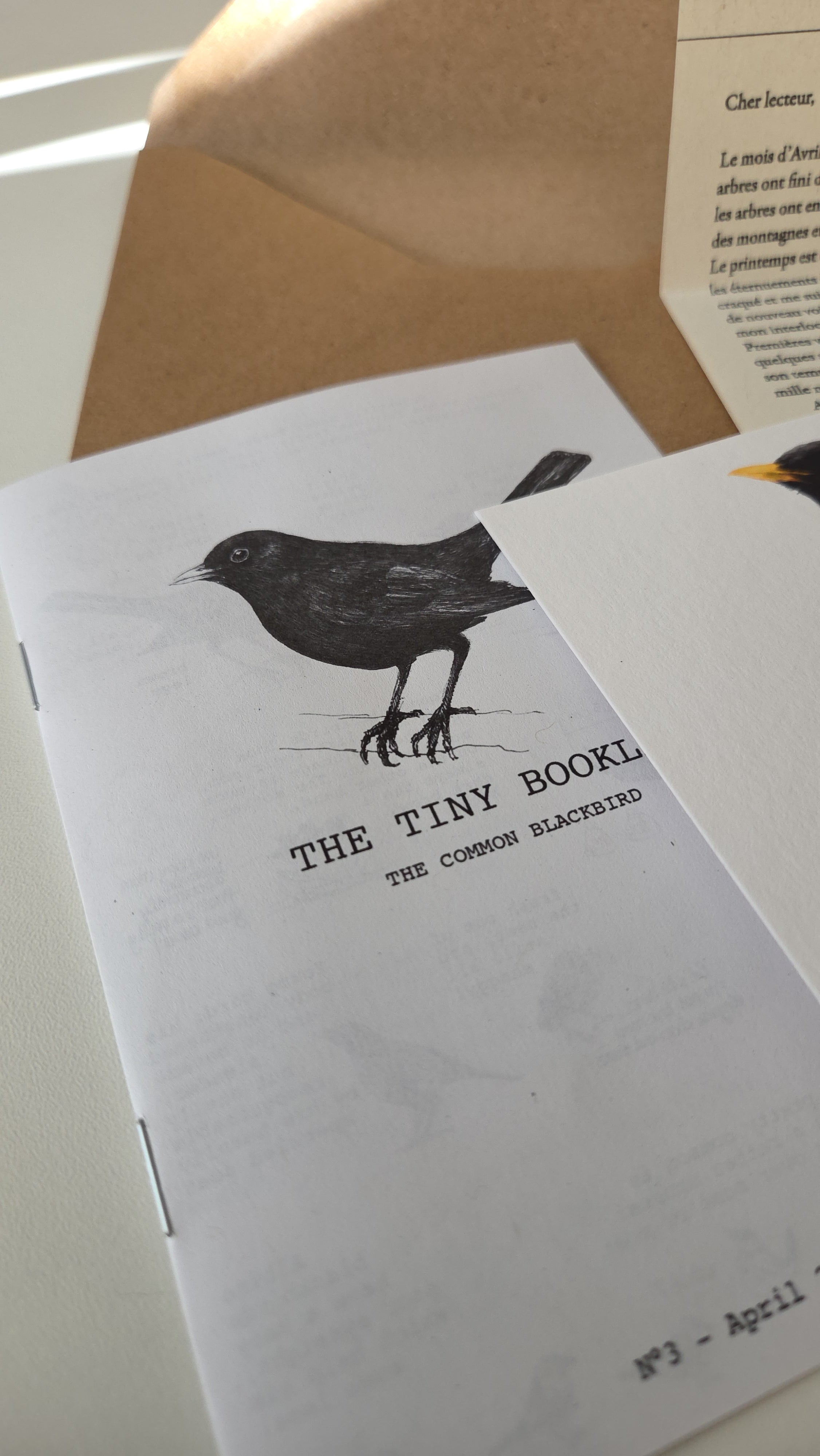 ARCHIVE #3 APRIL / The Sparrow's Post - Art Mail Club