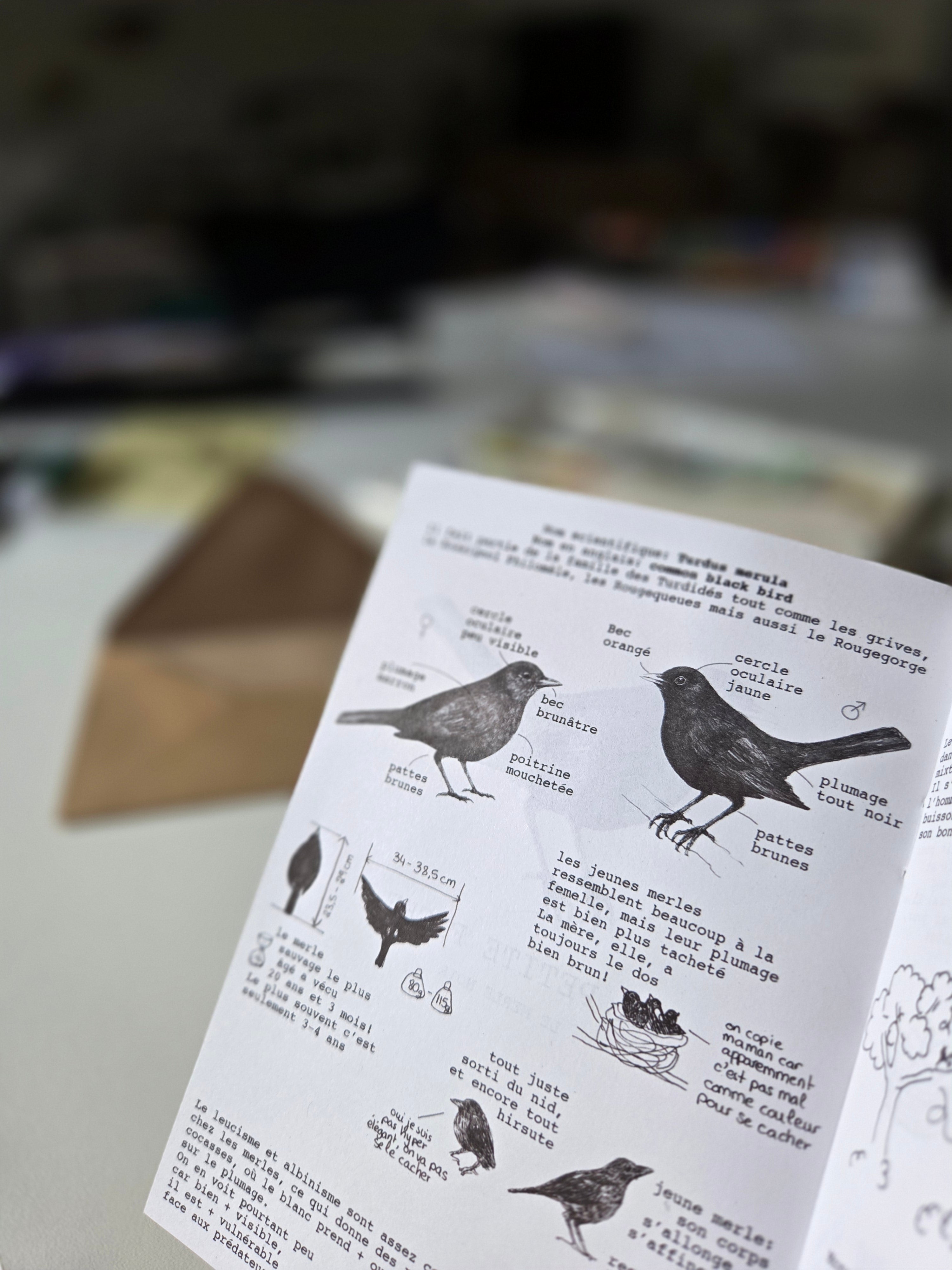 The Sparrow's Post - Art Mail Club / INTERNATIONAL