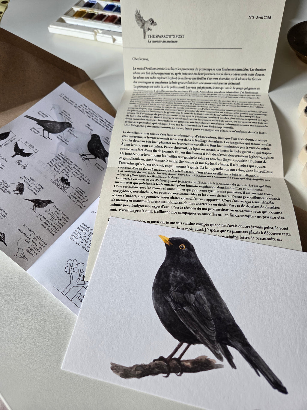 ARCHIVE #3 APRIL / The Sparrow's Post - Art Mail Club