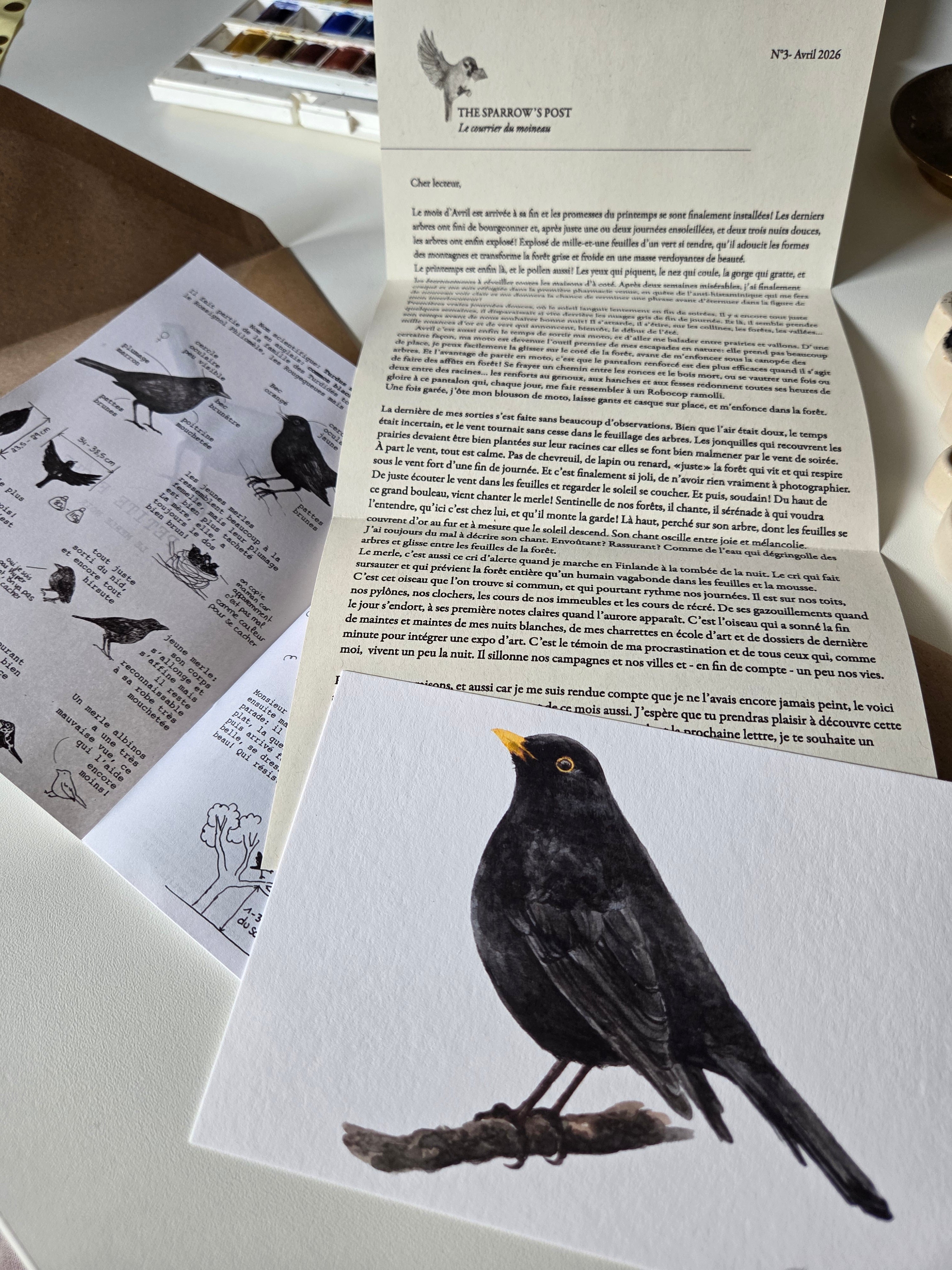 ARCHIVE #3 APRIL / The Sparrow's Post - Art Mail Club