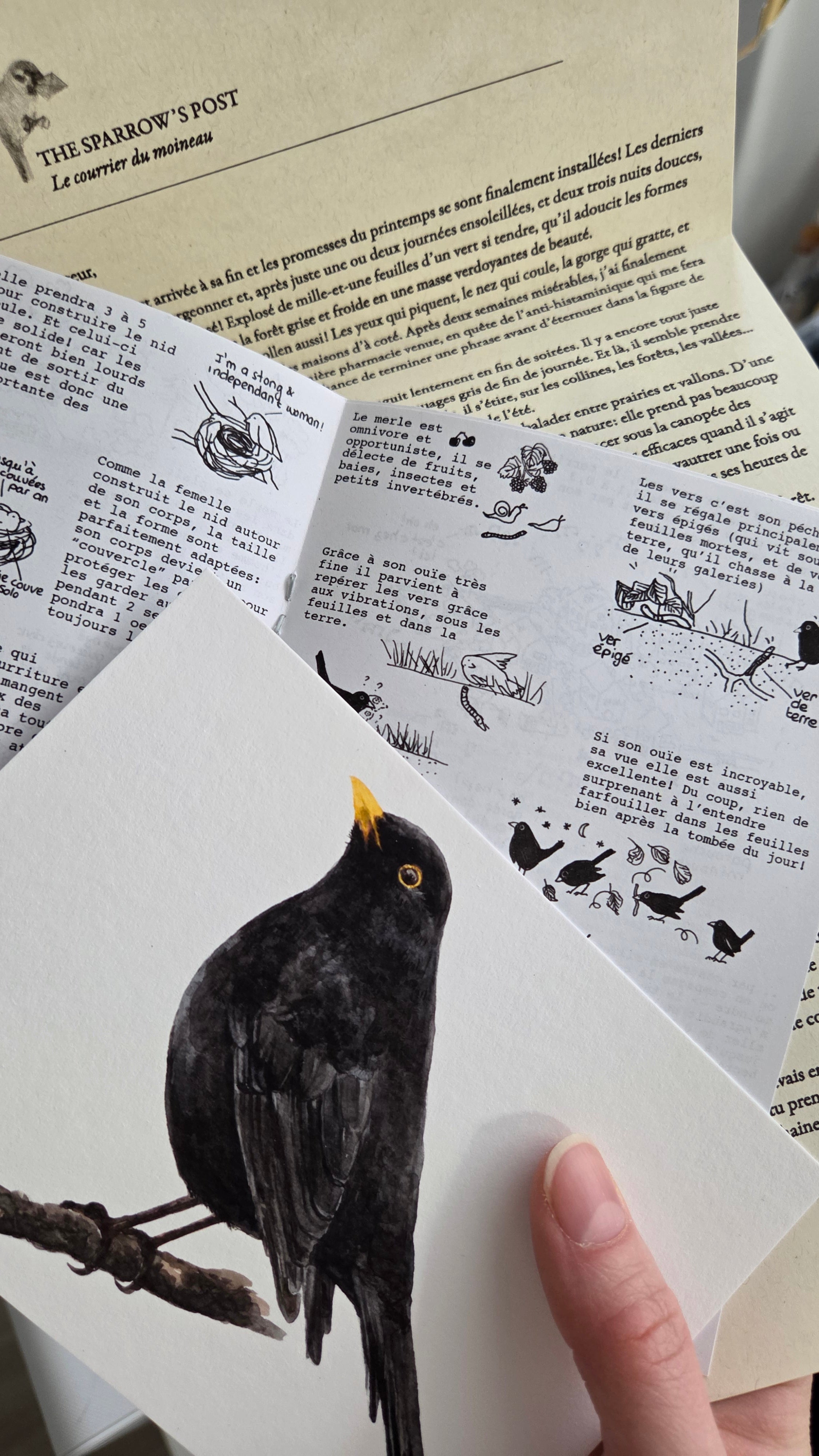 The Sparrow's Post - Art Mail Club / INTERNATIONAL
