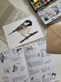 The Sparrow's Post - Art Mail Club / INTERNATIONAL