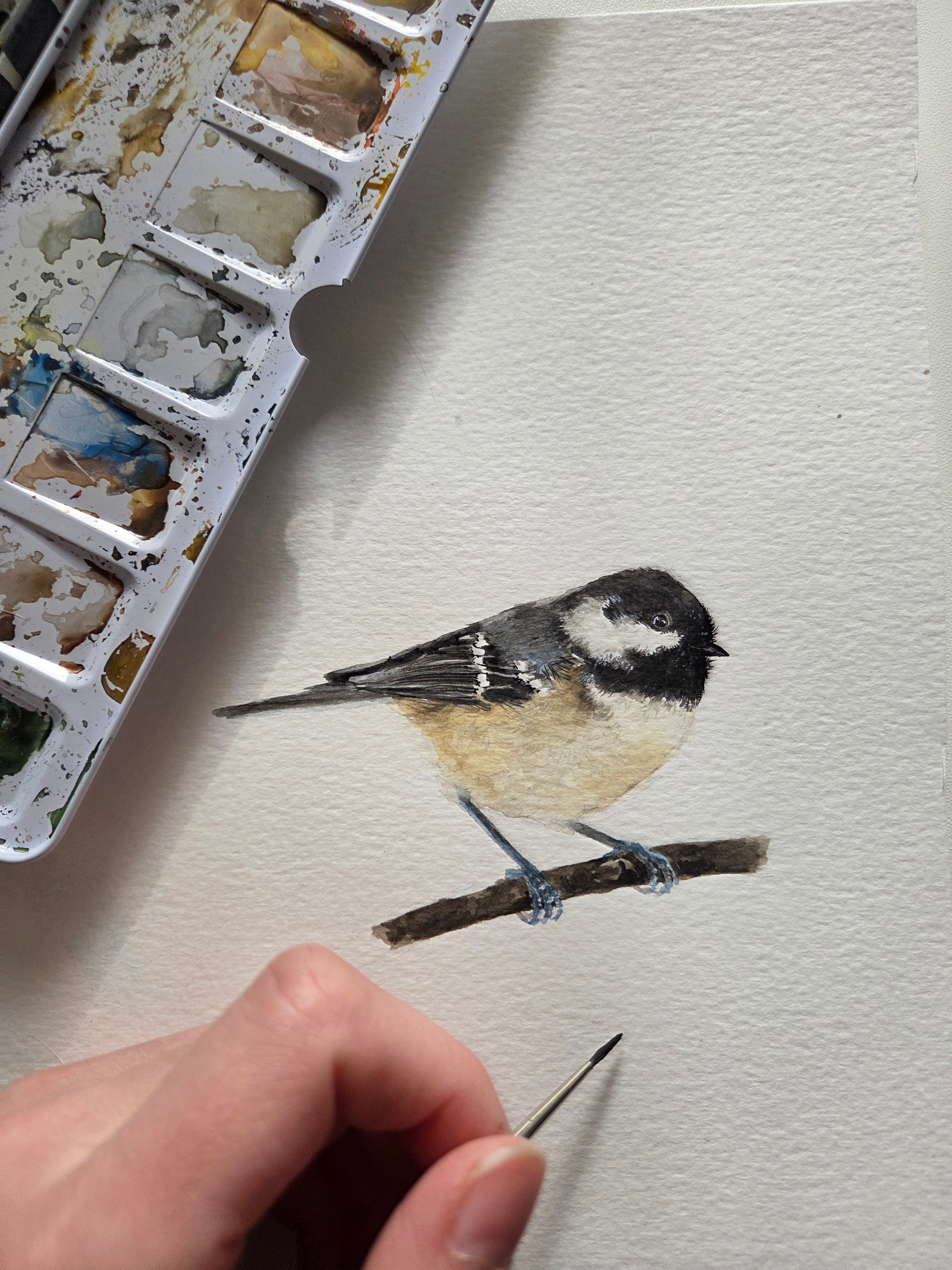 The Sparrow's Post - Art Mail Club / INTERNATIONAL