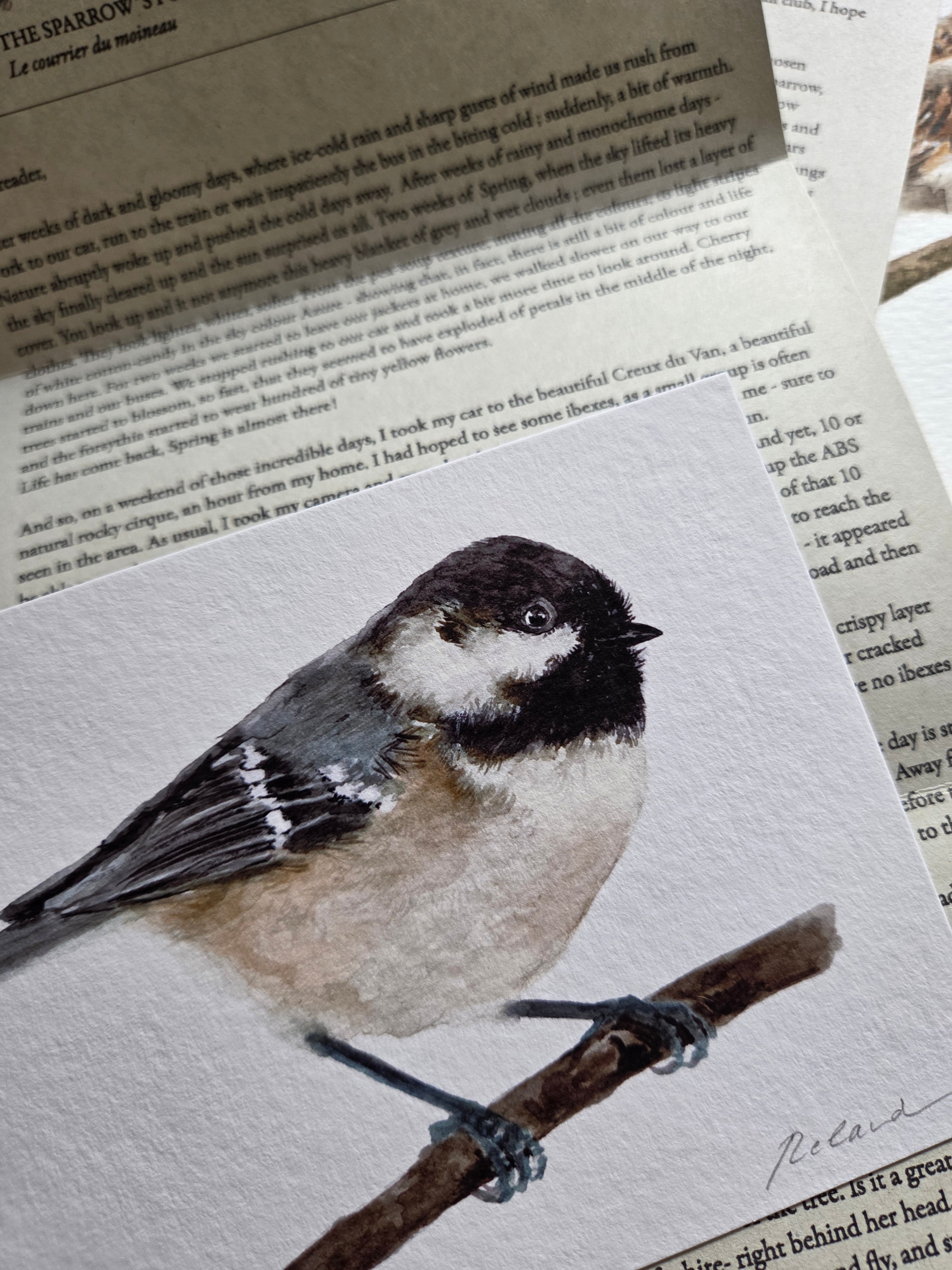 The Sparrow's Post - Art Mail Club / INTERNATIONAL
