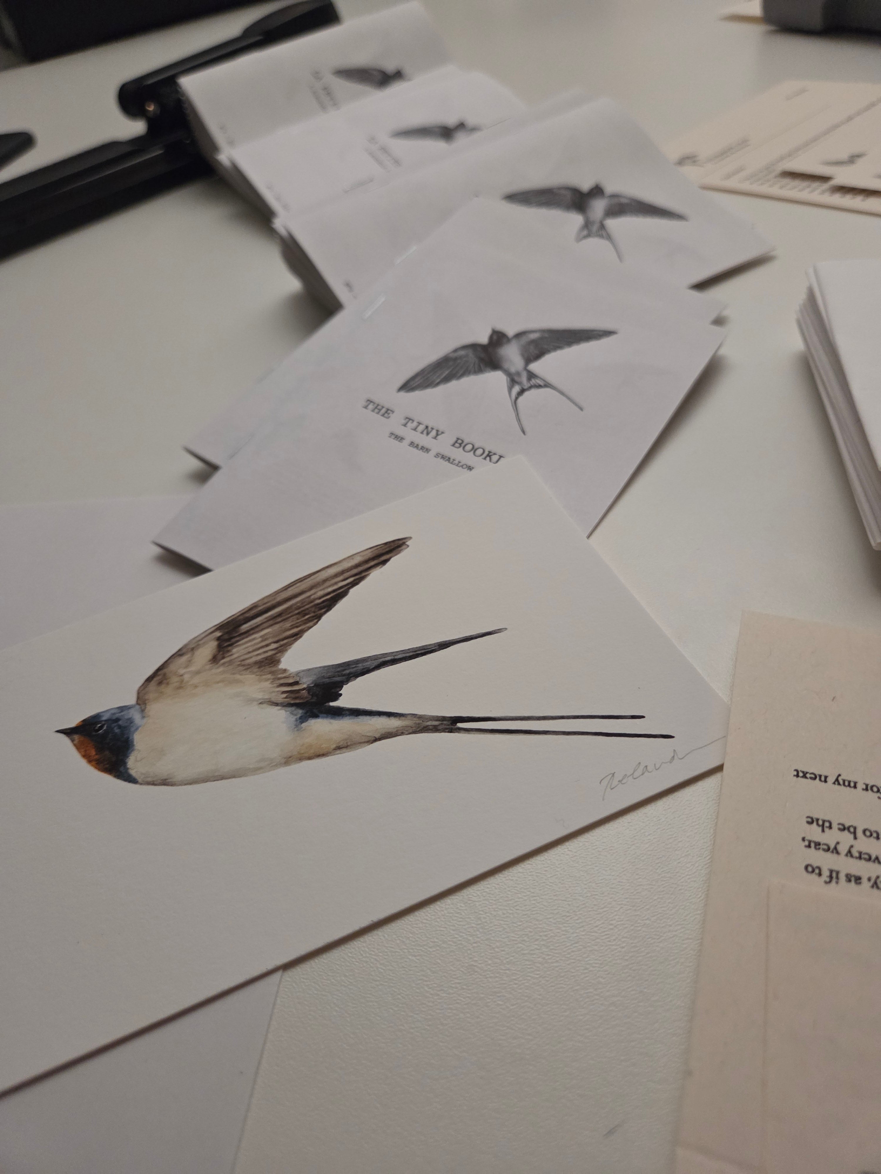 ARCHIVE #4 MAY / The Sparrow's Post - Art Mail Club