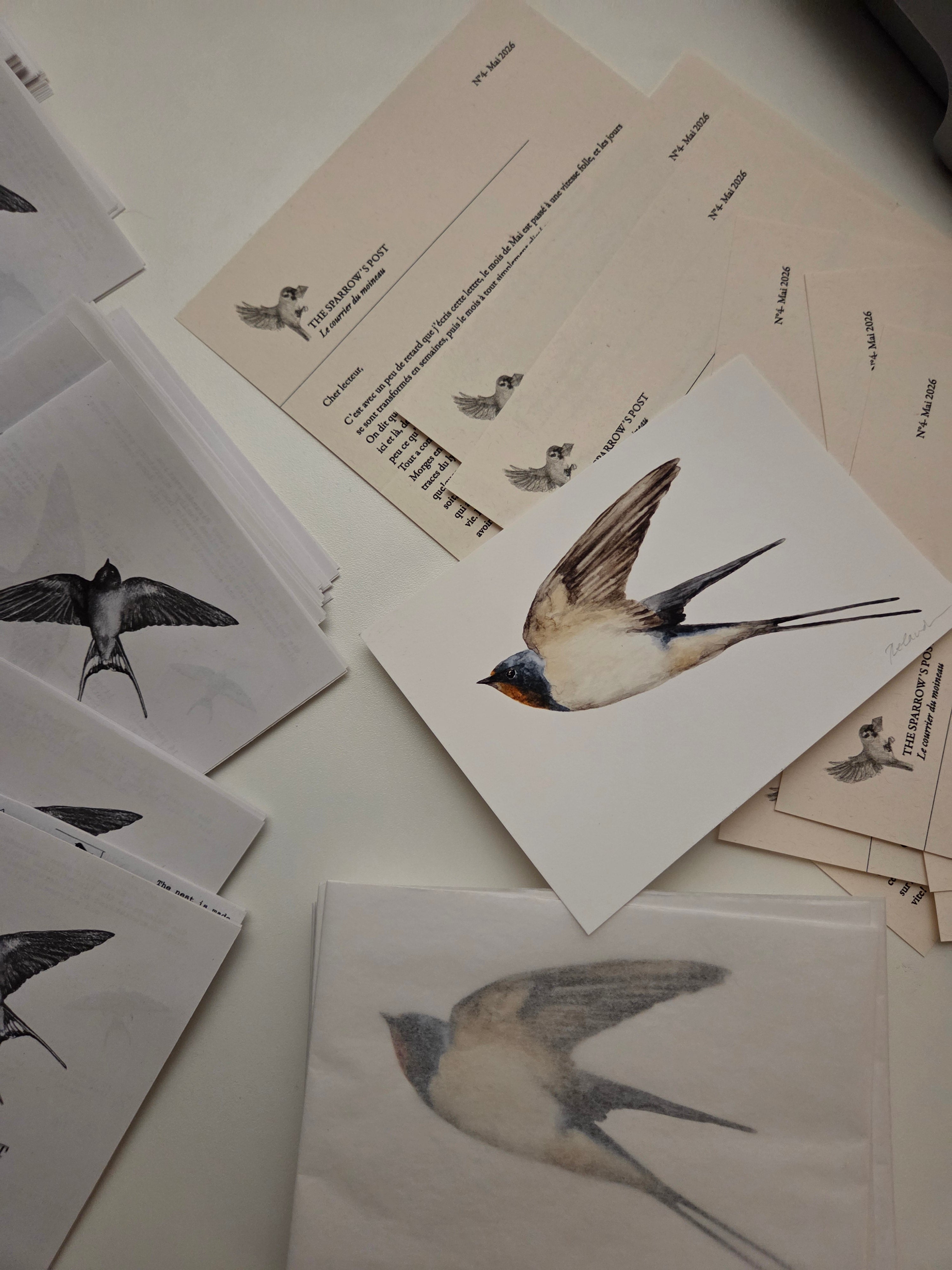 The Sparrow's Post - Art Mail Club / INTERNATIONAL
