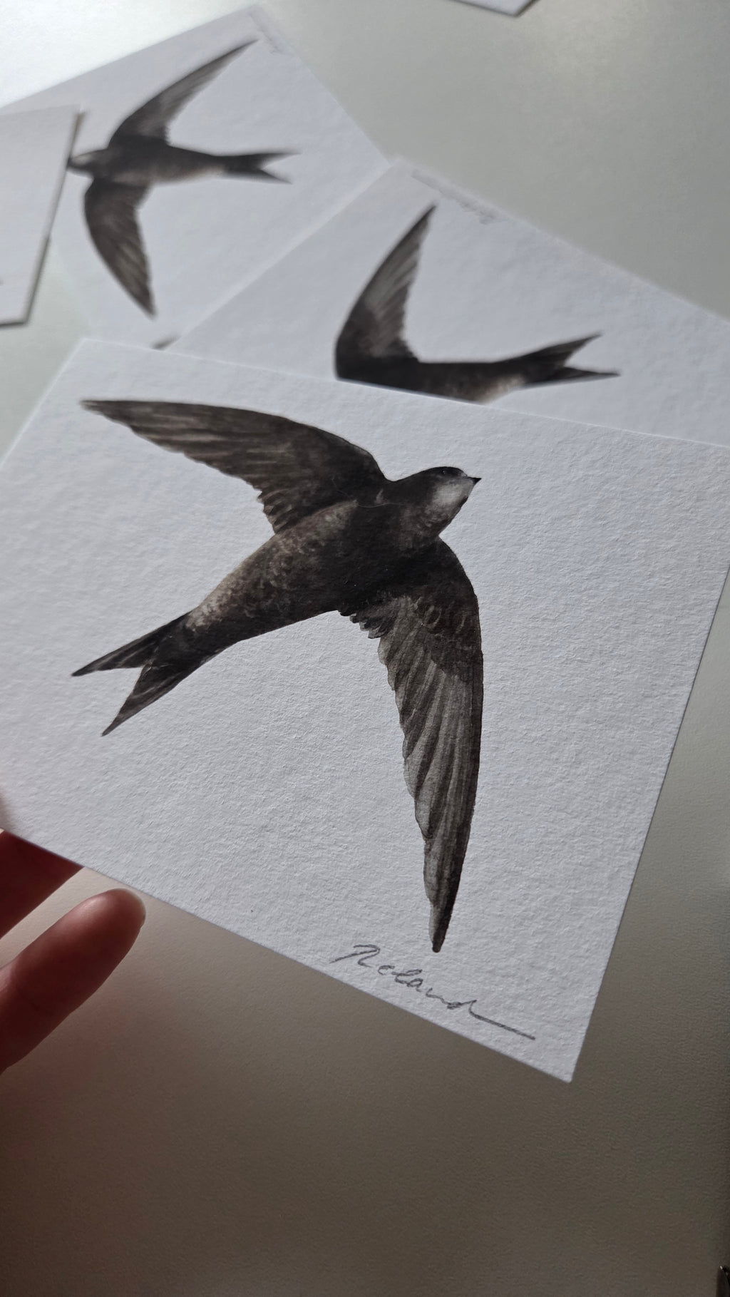 ARCHIVE #5 JUNE / The Sparrow's Post - Art Mail Club