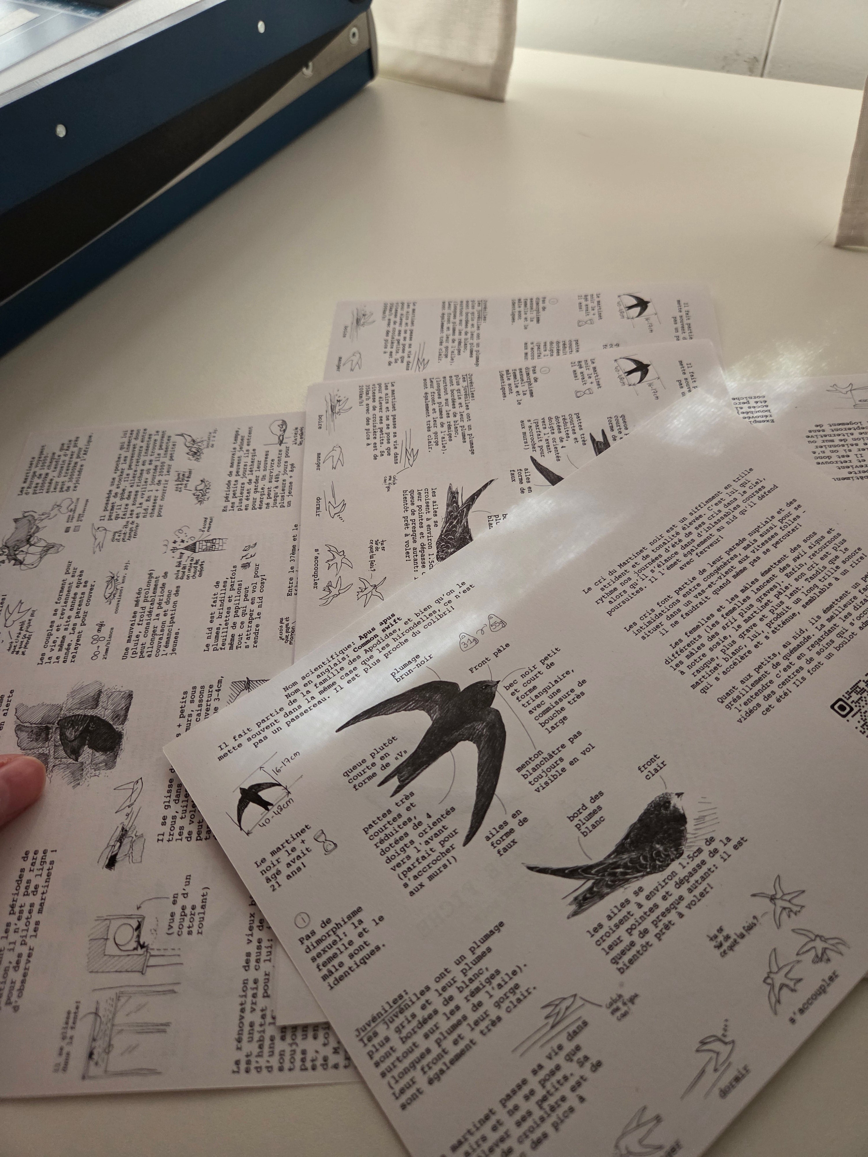 Le Courrier du Moineau - Art Mail Club / INTERNATIONAL