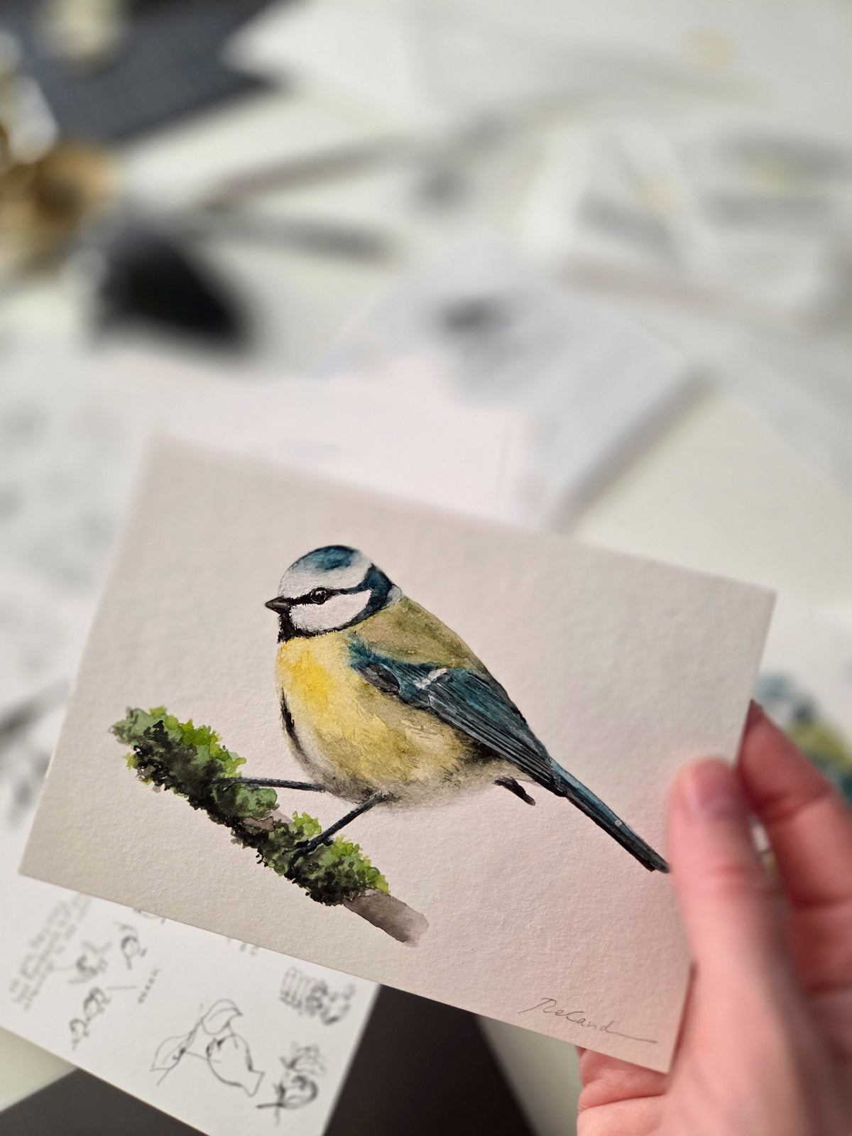 ARCHIVE #7 AUGUST / The Sparrow's Post - Art Mail Club