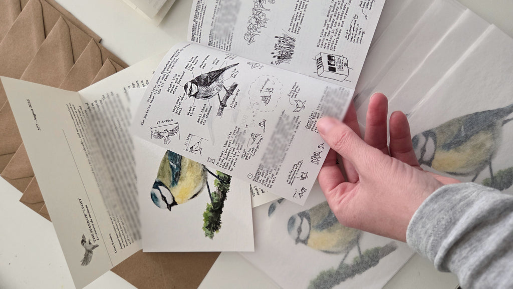ARCHIVE #7 AUGUST / The Sparrow's Post - Art Mail Club