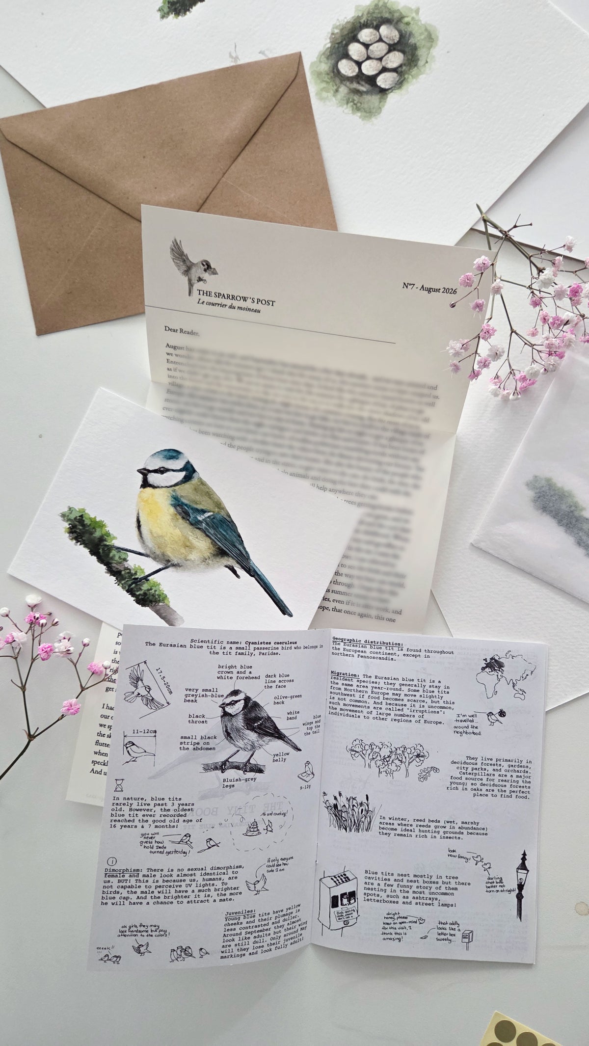 ARCHIVE #7 AUGUST / The Sparrow's Post - Art Mail Club