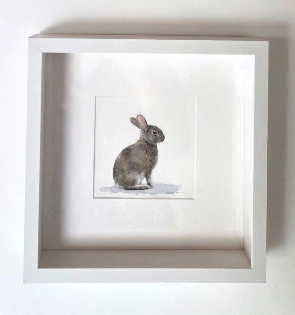 Lapin de Garennes