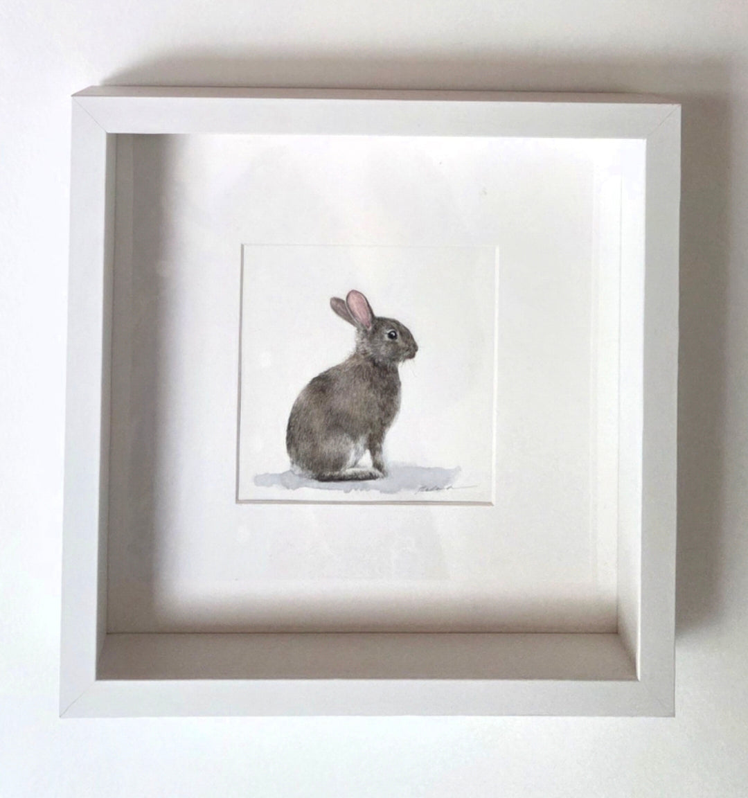 Lapin de Garennes