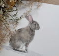 Lapin de Garennes